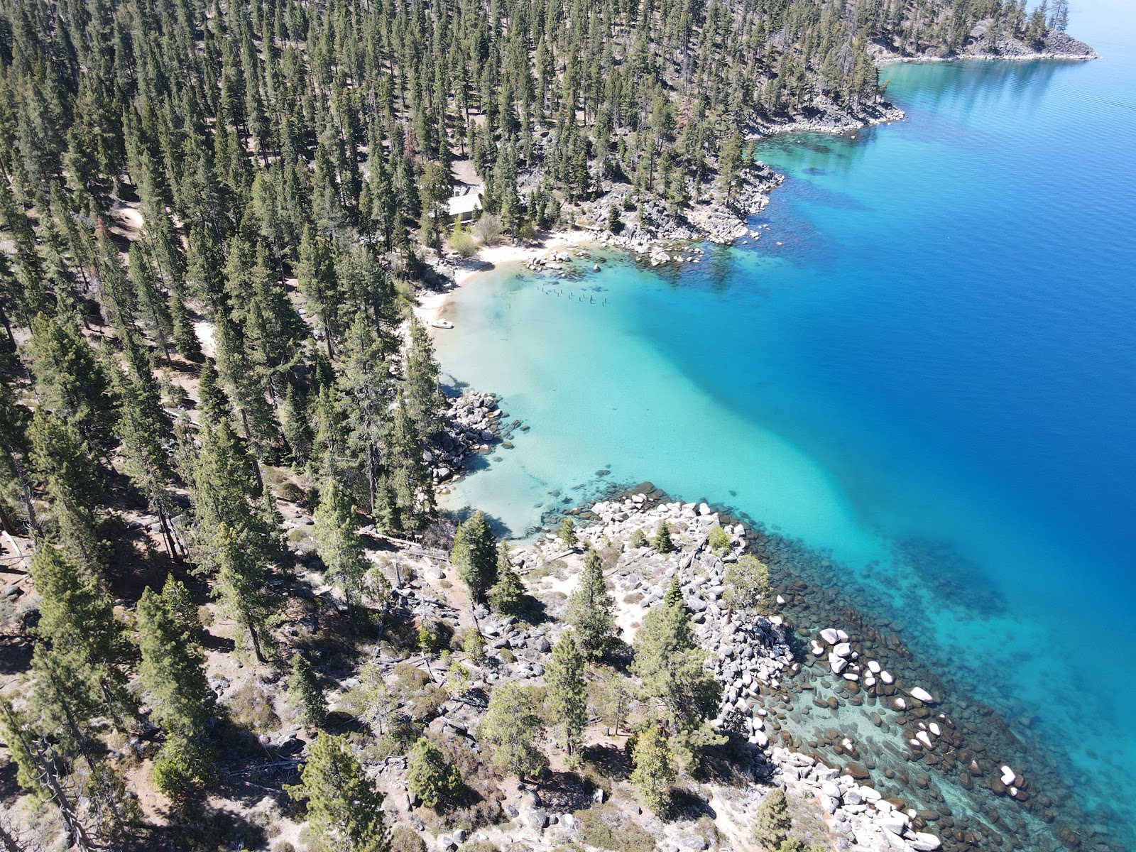 Skunk Harbor Beach photo #9