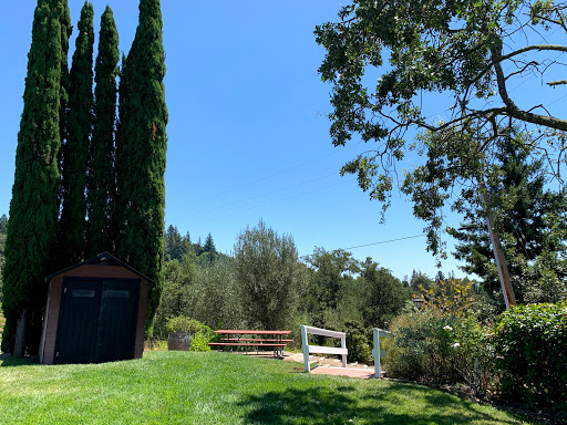 Vineyard «Byington Vineyard & Winery», reviews and photos, 21850 Bear Creek Rd, Los Gatos, CA 95033, USA