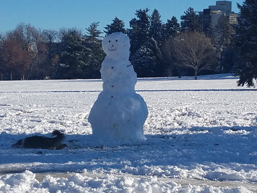 Park «Cheesman Park», reviews and photos, 1599 8th Ave, Denver, CO 80218, USA