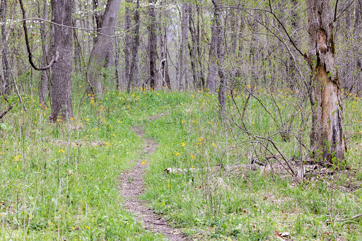 Nature Preserve «Trevlac Bluffs Nature Preserve», reviews and photos, IN-45, Nashville, IN 47448, USA