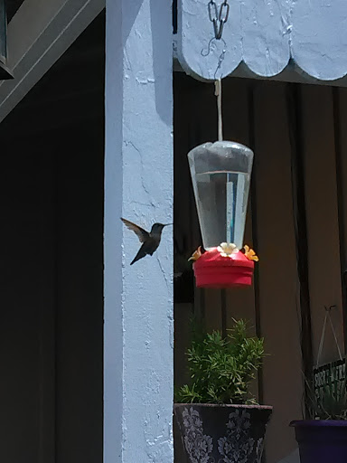 Book Store «Pipe & Thimble Bookstore», reviews and photos, 24830 Narbonne Ave, Lomita, CA 90717, USA