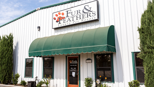 Fur & Feathers Pet Resort