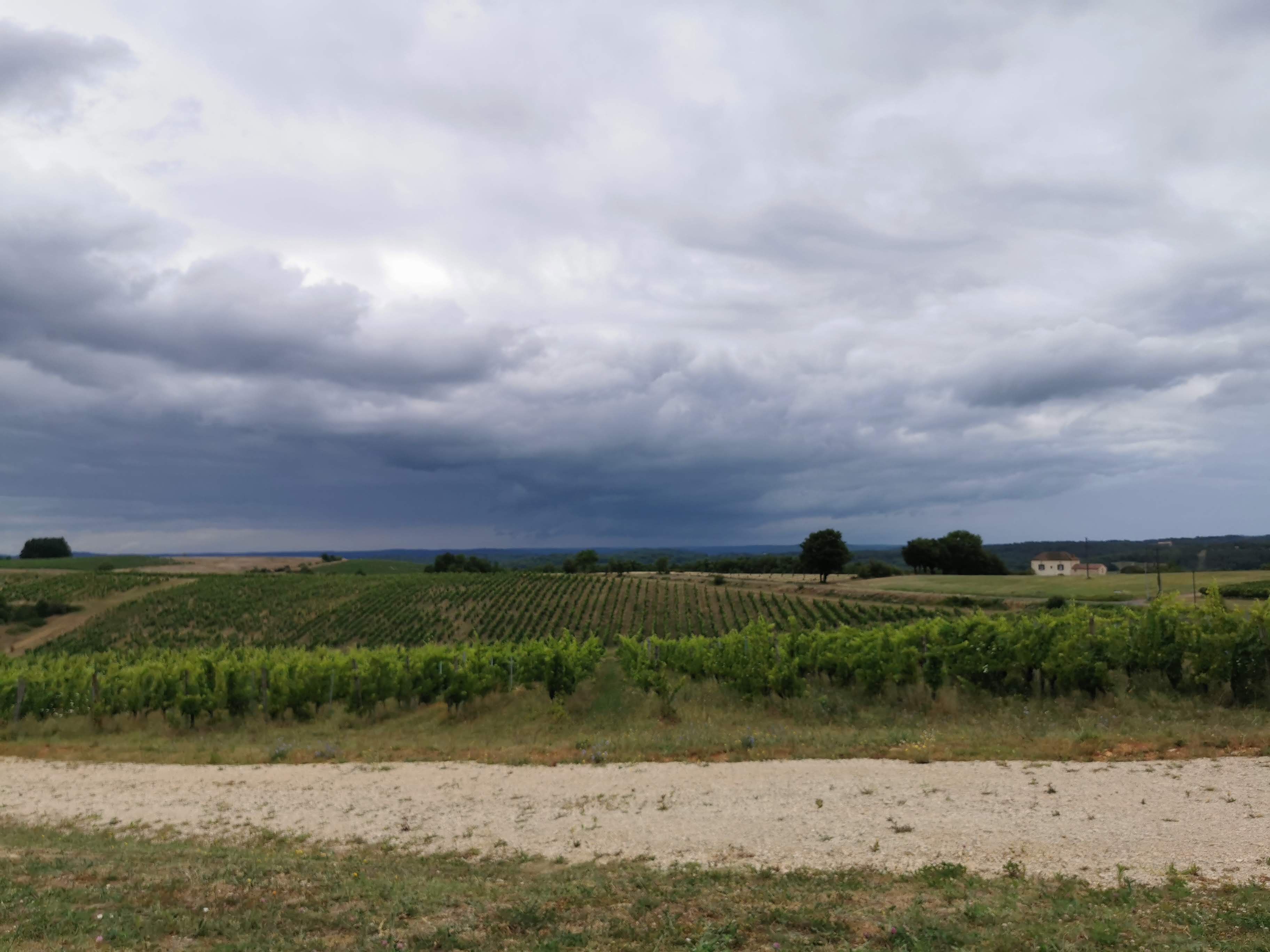 Photo n° 2 de l'avis de David.o fait le 16/07/2020 à 06:14