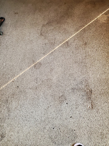 Carpet Cleaning Service «Indy Carpet Cleaning», reviews and photos, 5541 Guilford Ave, Indianapolis, IN 46220, USA