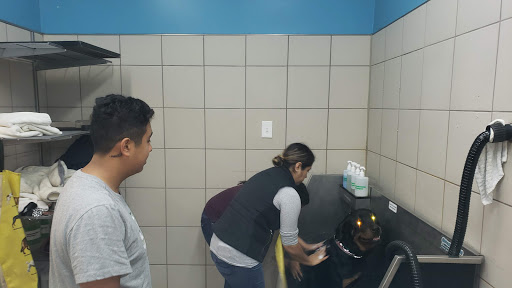 Pet Supply Store «Pet Supplies Plus», reviews and photos, 61 Irving Park Rd, Streamwood, IL 60107, USA