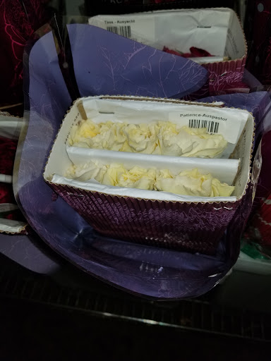 Florist «Botanica Wholesale Florist», reviews and photos, 3208 International Pl, Irving, TX 75062, USA