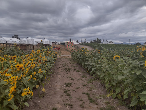 Amusement Center «Maris Farms», reviews and photos, 25001 Sumner Buckley Hwy, Buckley, WA 98321, USA