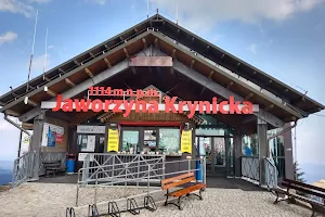 Jaworzyna Krynicka 1114m asl image