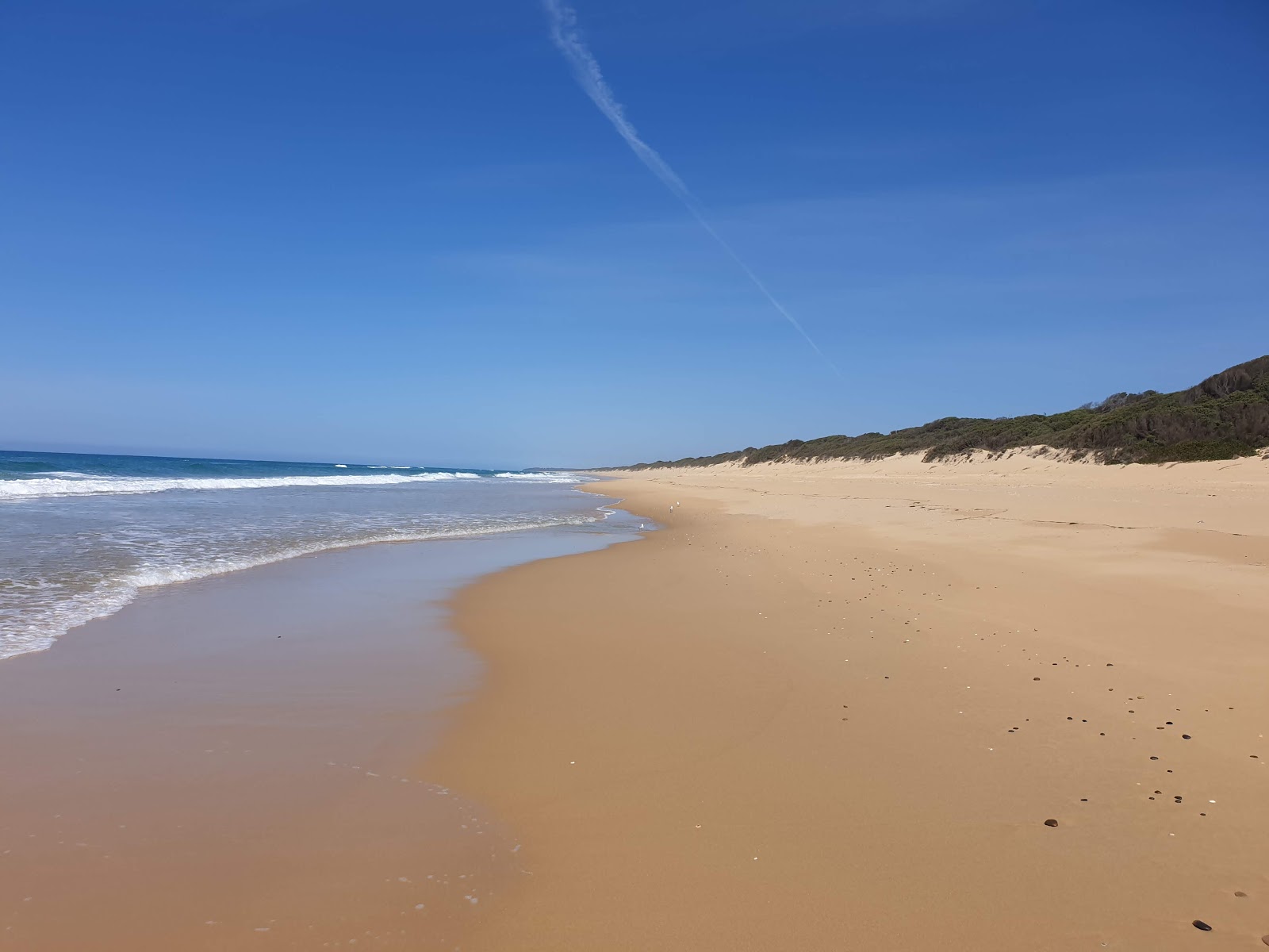 Fotografija Pettmans Beach z svetel pesek površino