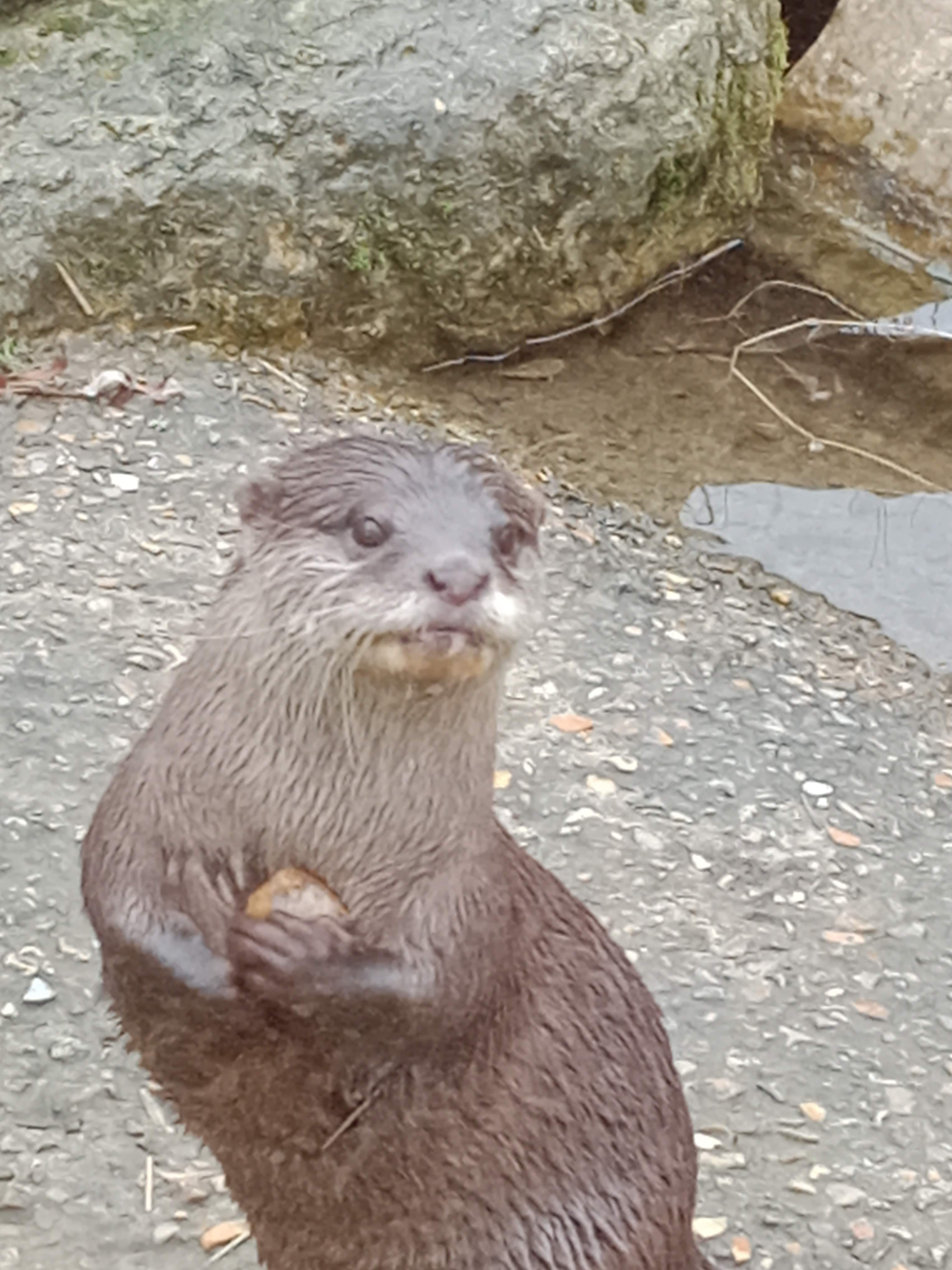 Photo n° 4 de l'avis de brigitte.l fait le 08/02/2022 à 16:57