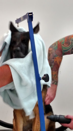 Pet Supply Store «Healthy Pet Center», reviews and photos, 775 New Loudon Rd, Latham, NY 12110, USA