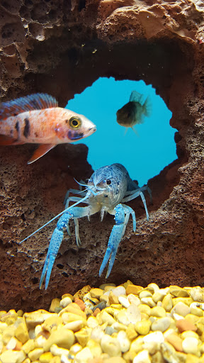 Pet Supply Store «Petco Animal Supplies», reviews and photos, 1337 N National Rd, Columbus, IN 47201, USA