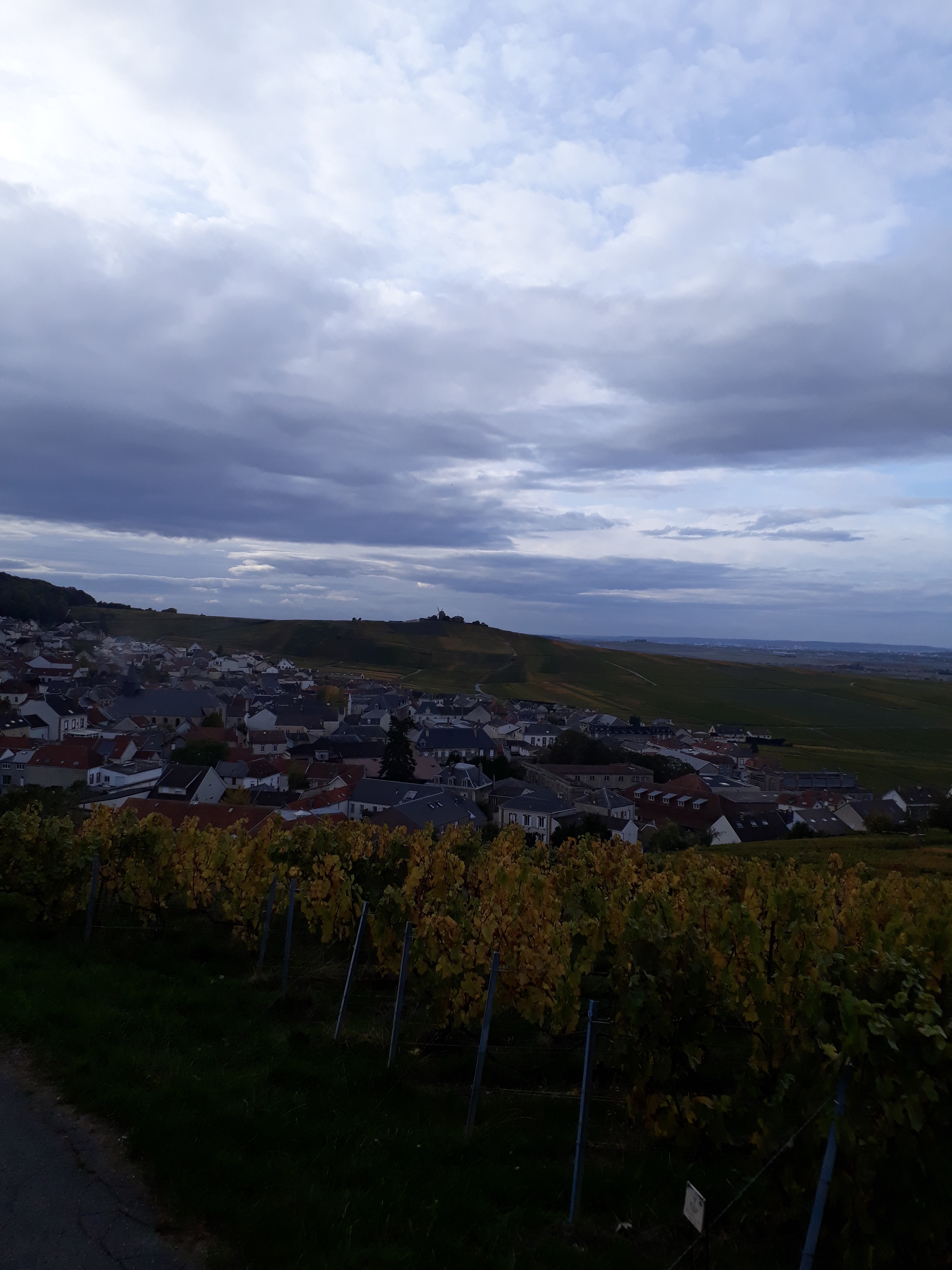 Photo n° 5 de l'avis de Didier.u fait le 14/10/2020 à 08:03