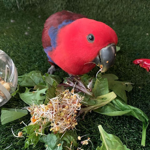 Pet Store «Pet Source 1901», reviews and photos, 1901 W 8th St B, Los Angeles, CA 90057, USA