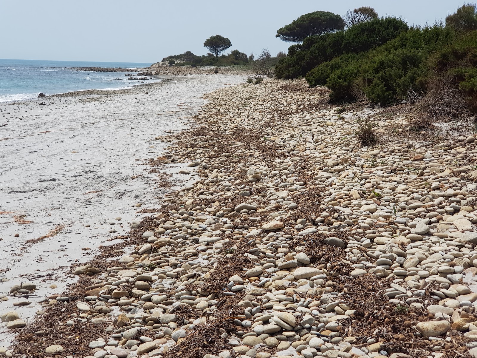 Foto de Riserva Bidderosa - lugar popular entre los conocedores del relax