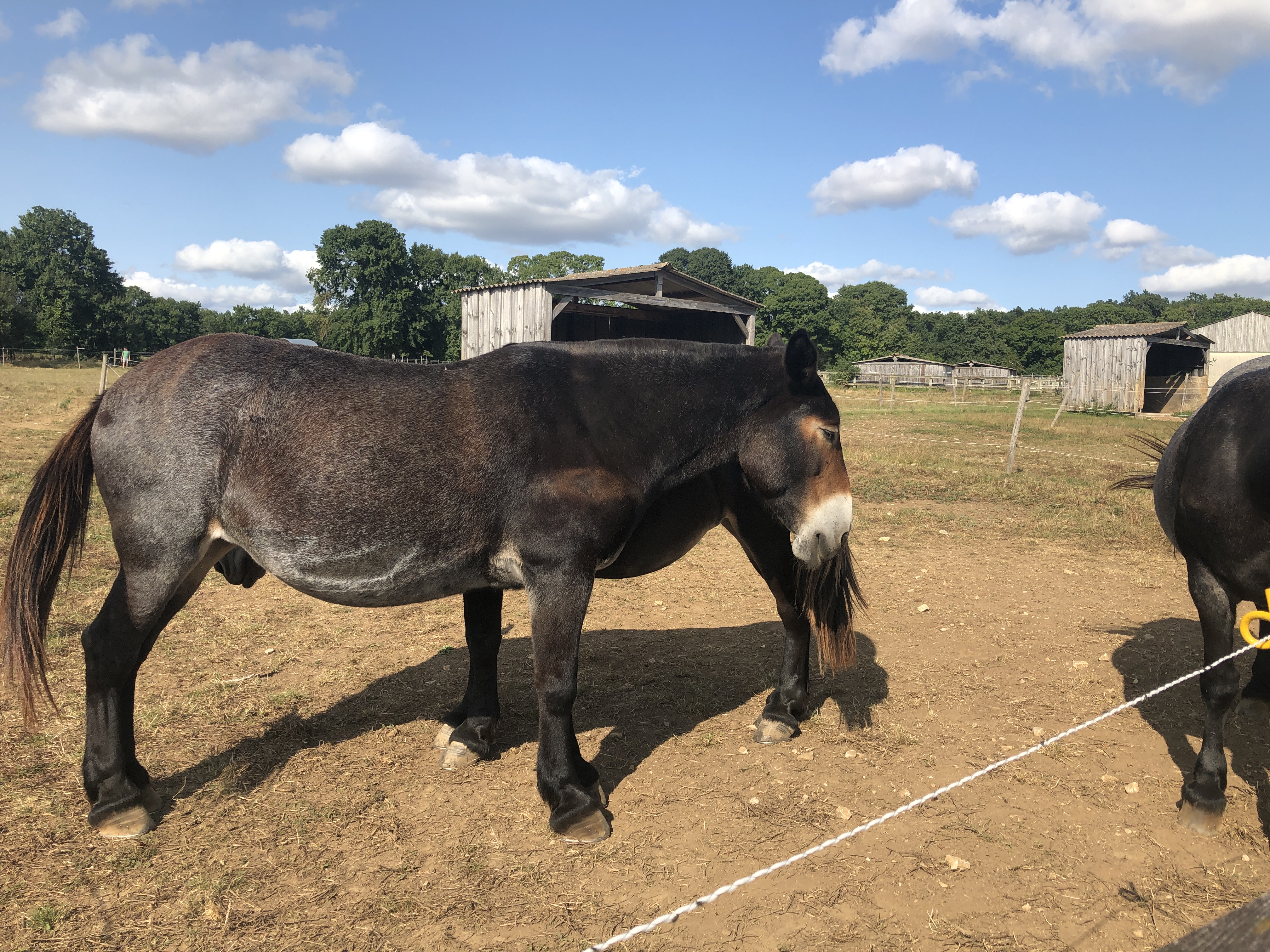Photo n° 1 de l'avis de Jean-Pierre.E fait le 01/09/2021 à 10:07