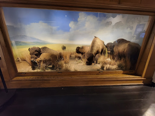 Science Museum «Buffalo Museum of Science», reviews and photos, 1020 Humboldt Pkwy, Buffalo, NY 14211, USA