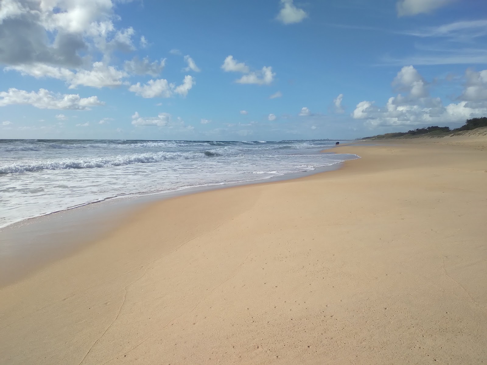 Kawana Beach的照片 带有碧绿色纯水表面
