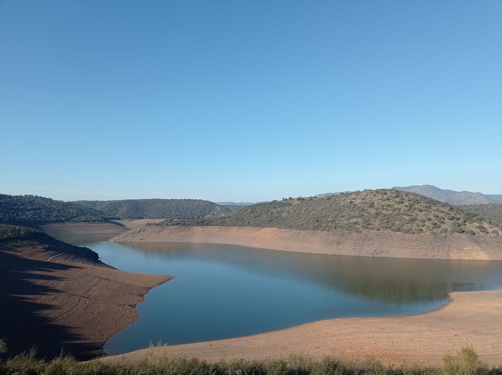 Playa del Tamujoso'in fotoğrafı vahşi alan