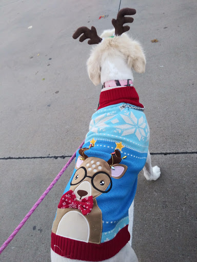 Pet Supply Store «Petco Animal Supplies», reviews and photos, 3055 N President George Bush Hwy, Garland, TX 75040, USA