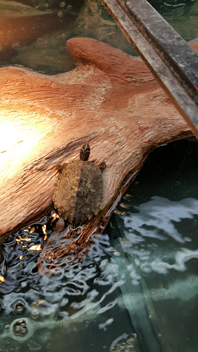 Pet Supply Store «Petco Animal Supplies», reviews and photos, 1624 Governors Square Blvd, Tallahassee, FL 32301, USA