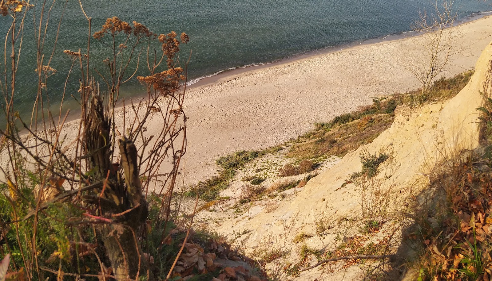 Photo of Donskoe beach with long straight shore