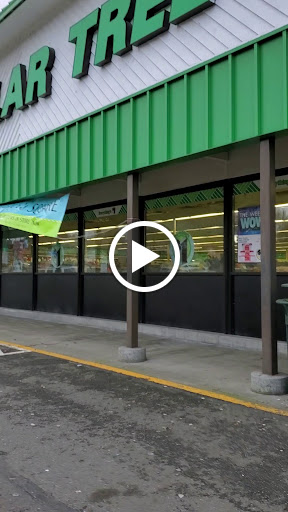 Dollar Store «Dollar Tree», reviews and photos, 21815 Marine View Dr S, Des Moines, WA 98198, USA