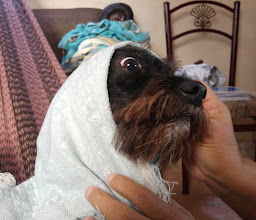 Parque Nueva Bojórquez photo