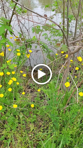 Golf Course «Greendale Golf Course», reviews and photos, 6700 Telegraph Rd, Alexandria, VA 22310, USA