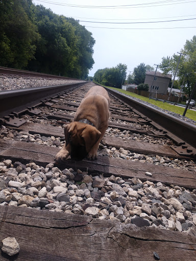 Park «Cowboy Park», reviews and photos, 9149 S Homan Ave, Evergreen Park, IL 60805, USA