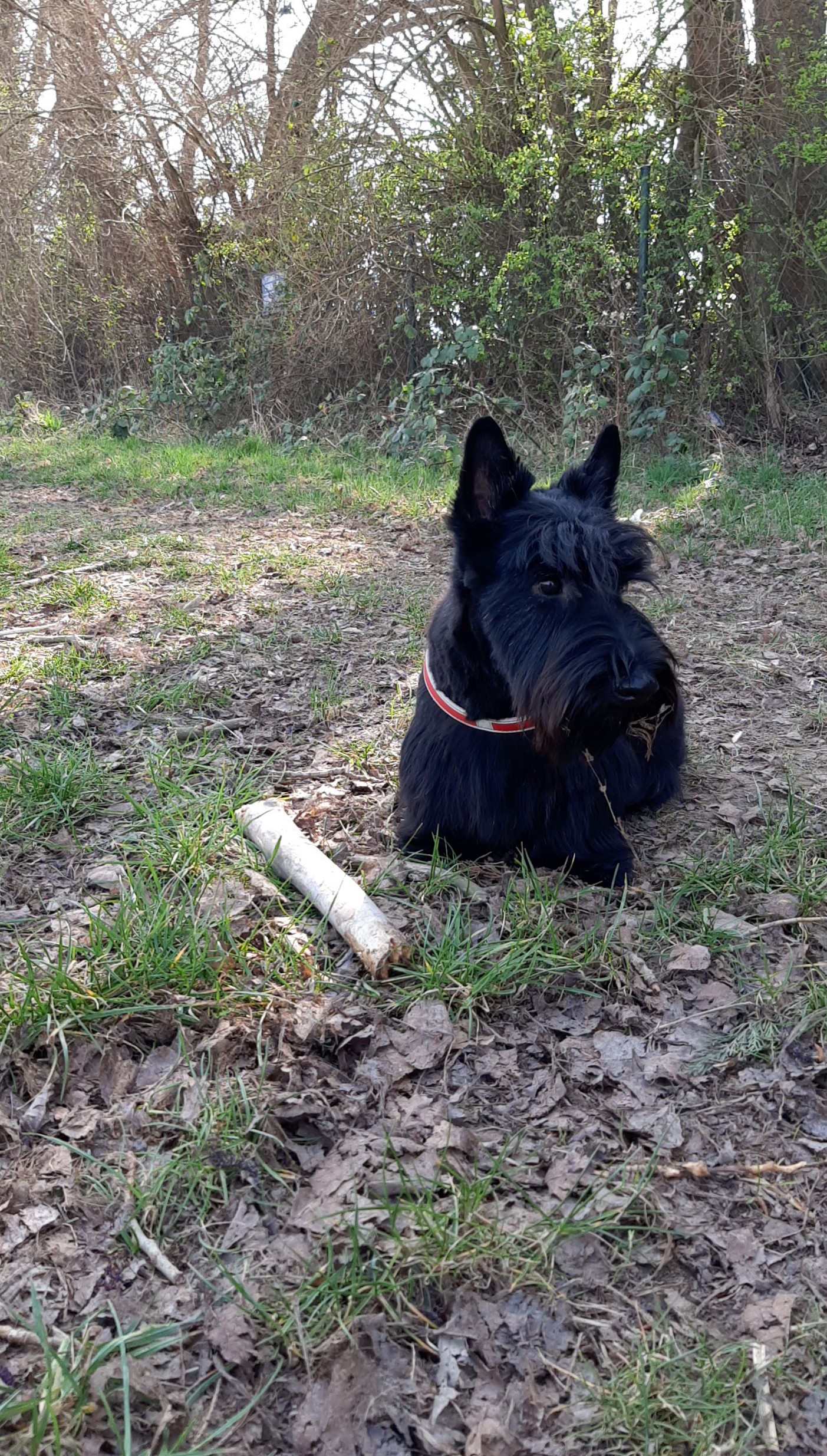 Photo n° 1 de l'avis de Didier.r fait le 25/09/2021 à 11:27