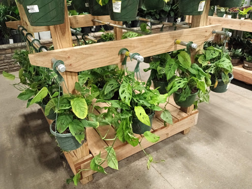 Home Improvement Store «The Home Depot», reviews and photos, 2360 White Bear Ave, Maplewood, MN 55109, USA