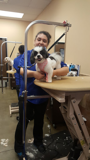 Pet Supply Store «PetSmart», reviews and photos, 533 S Broad St, Meriden, CT 06450, USA