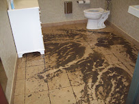 Associated Services - Photo 9 - Car repair in Tallahassee, FL, Tallahassee