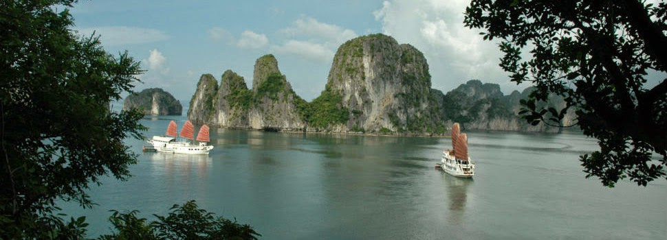Bai Tu Long Bay Tours