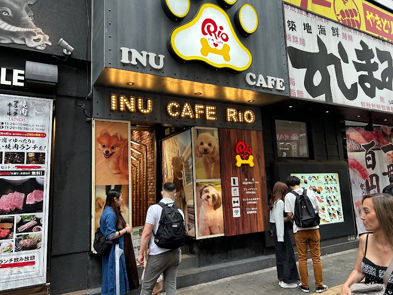 犬カフェ RIO 新宿店