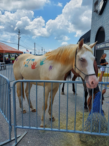 Harley-Davidson Dealer «Harley-Davidson of Pensacola», reviews and photos, 6385 Pensacola Blvd, Pensacola, FL 32505, USA