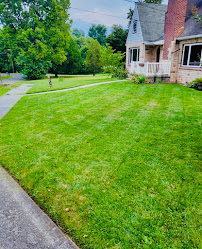 East Texas Lawn Sharks