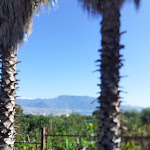 Photo n°1 de l'avis de Mario.o fait le 10/09/2022 à 17:47 sur le  Villa Mirabella à Boscotrecase