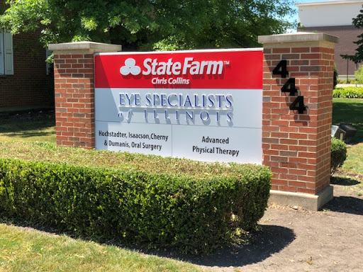 Auto Insurance Agency «Chris Collins - State Farm Insurance Agent», reviews and photos