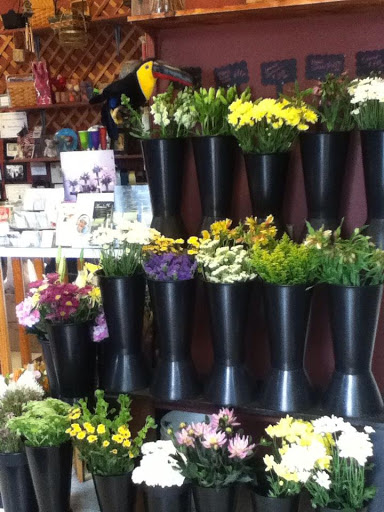 Florist «Showers of Flowers», reviews and photos, 3850 San Pablo Ave # 100, Emeryville, CA 94608, USA