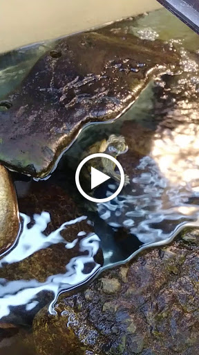 Pet Supply Store «Petco Animal Supplies», reviews and photos, 1250 William D Tate Ave #200, Grapevine, TX 76051, USA