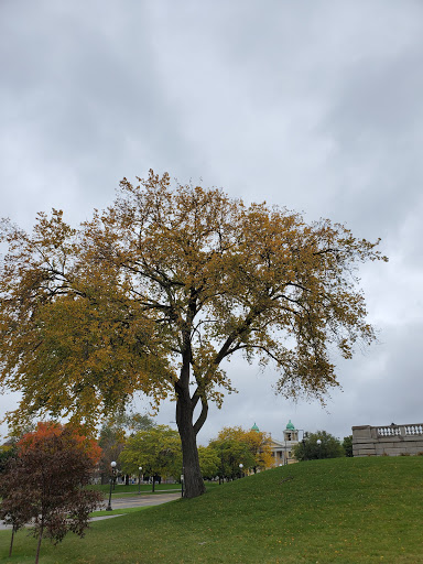 State Government Office «Minnesota State Capitol», reviews and photos, 75 Rev Dr Martin Luther King Jr Boulevard., St Paul, MN 55155, USA