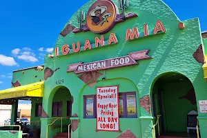 Iguana Mia of Fort Myers image