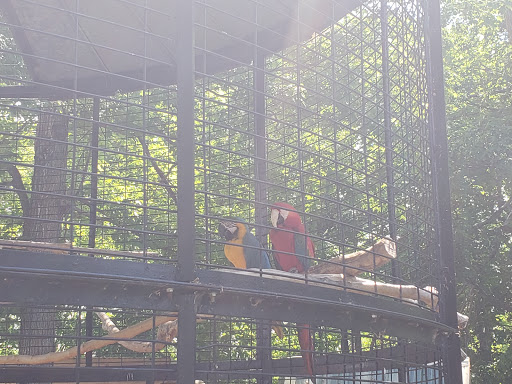 Zoo «Trowbridge Creek Zoo», reviews and photos, 50622 Co Rd 17, Vergas, MN 56587, USA