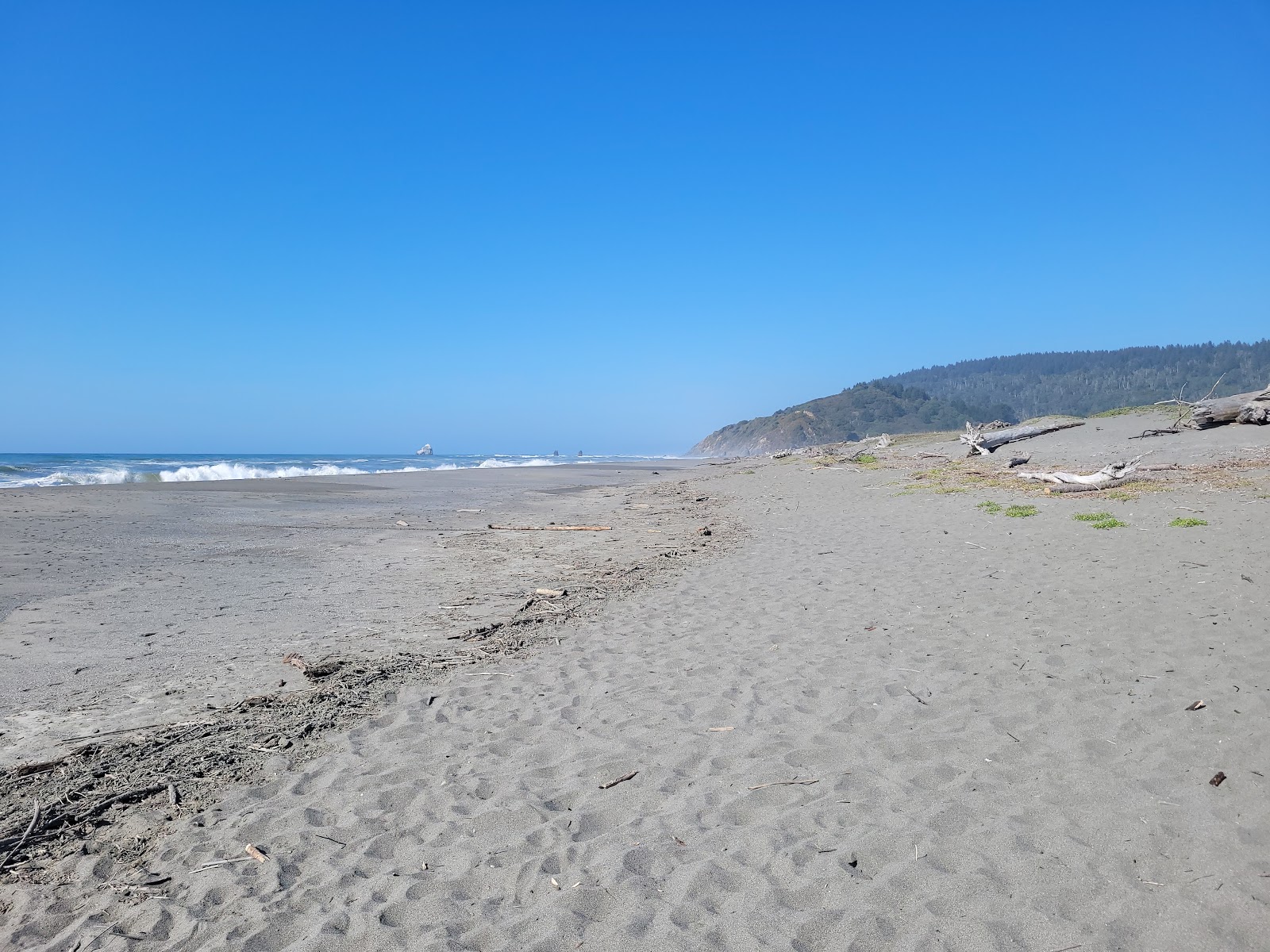 Orick Beach'in fotoğrafı çok temiz temizlik seviyesi ile