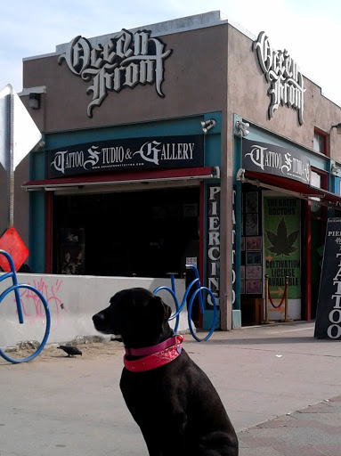 Tattoo Shop «tattoo los angeles Ocean Front Tattoo», reviews and photos, 1201 Ocean Front Walk, Venice, CA 90291, USA