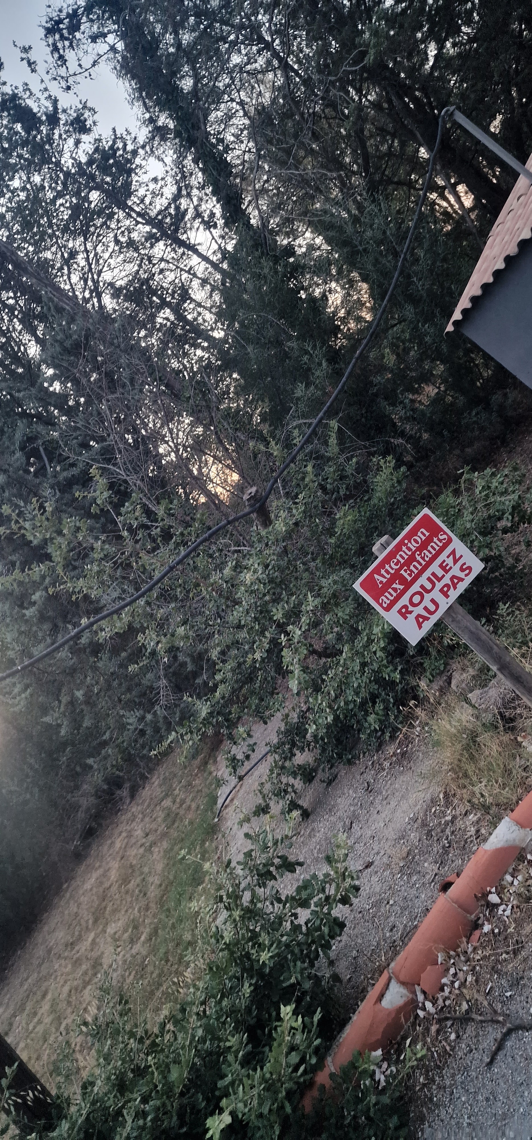 Photo n° 14 de l'avis de Mélina. fait le 22/07/2023 à 18:49