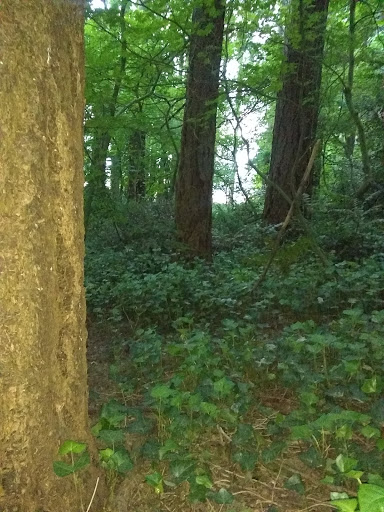 Country Club «Royal Oaks Country Club», reviews and photos, 8917 NE Fourth Plain Blvd, Vancouver, WA 98662, USA