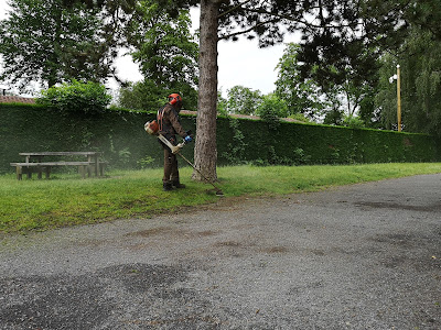 Décovert Environnement à La Longueville